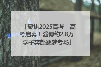聚焦2025高考｜高考启幕！淄博约2.8万学子奔赴逐梦考场